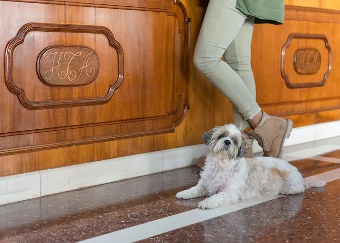 تور ازول آند سبا - للأشخاص البالغين فقط