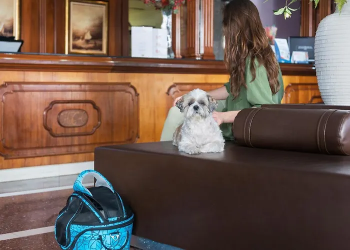 Hotel Torre Azul & - Adults Only 4*