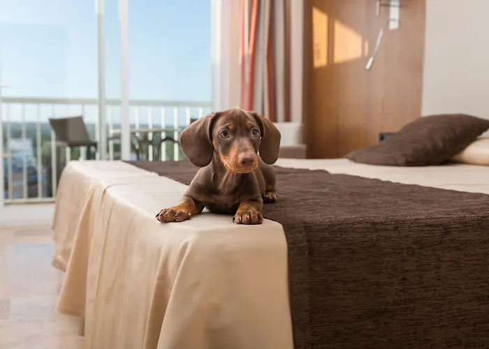 Torre Azul & - Adults Only