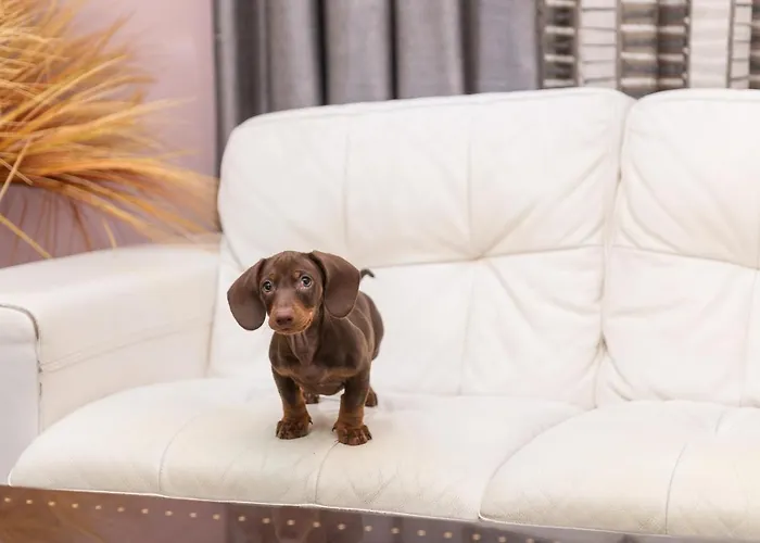 Hotel Torre Azul & - Adults Only El Arenal (Mallorca)