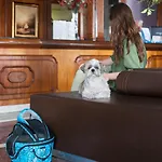 Hotel Torre Azul & - Adults Only 4*