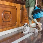 Torre Azul & - Adults Only Hotel 4*