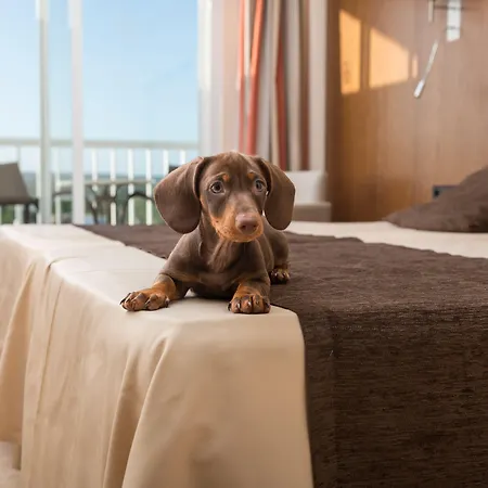 Torre Azul & - Adults Only